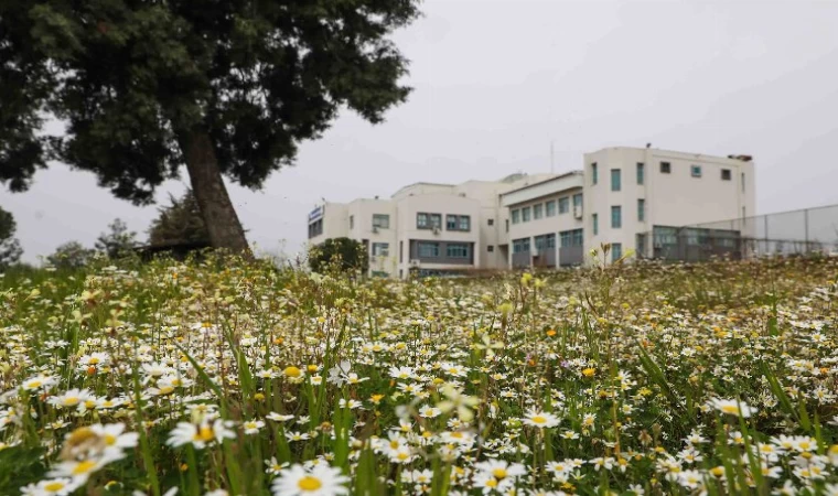 Dokuz Eylül’ün ’GreenMetric’ endeksi yükseldi