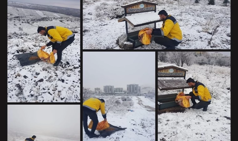 Nevşehir Belediyesi’nden can dostlara yakın ilgi