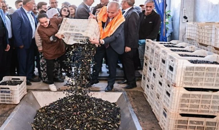 Denizli'de Zeytin üreticilerinin tesis sevinci