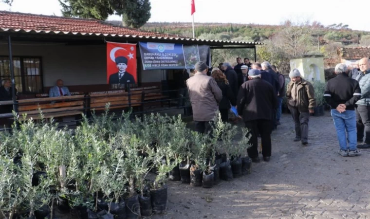 Yangın mağdurlarına Manisa Büyükşehir’den fidan desteği