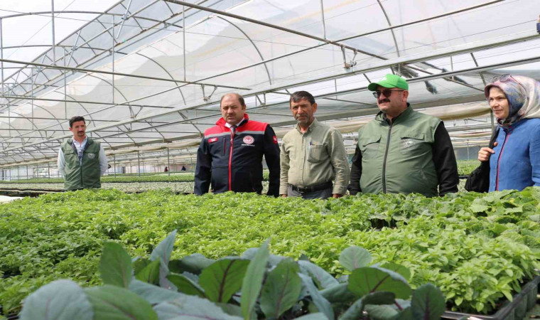 Bölgenin fidesi Erzincan’dan