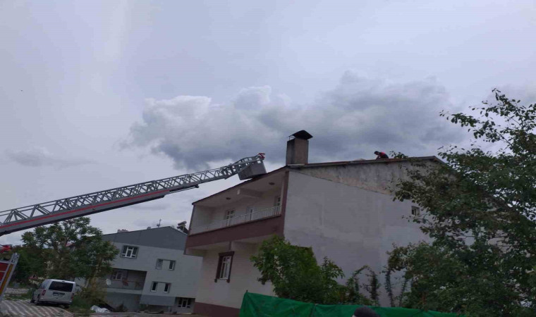 Cami kubbesindeki leylek yuvası, yıkım nedeniyle taşındı