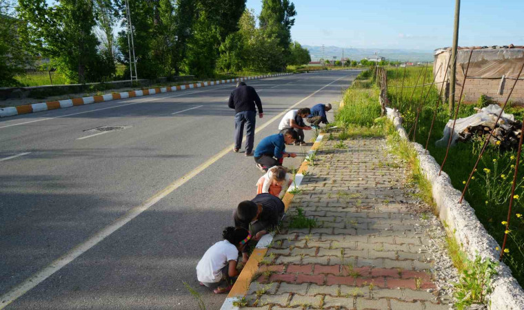 Muş’ta yağan bilinmeyen cisimler şaşırttı