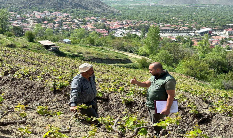 Sahayı adım adım dolaşıyorlar