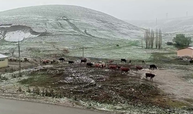 Tekman’da kar sürprizi