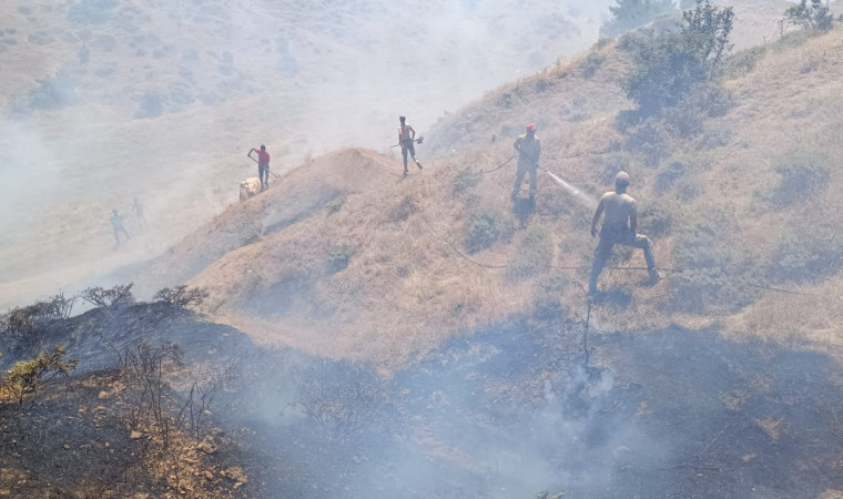 Bingöl’de çıkan orman yangını söndürüldü