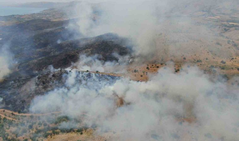 Elazığ’da orman yangınına havadan müdahale sürüyor