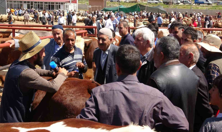 Van’da kurban pazarlarında sıkı pazarlıklar başladı