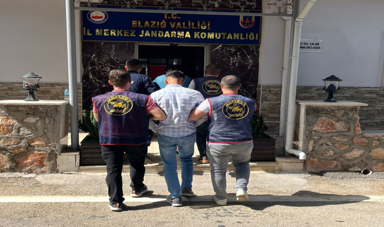 Elazığ’da kesinleşmiş hapis cezası bulunan 33 zanlı tutuklandı