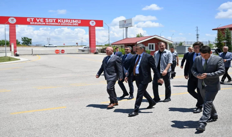 Erzurum ETB yıllık 2 bin ton kırmızı et üretiyor