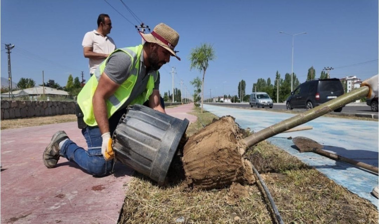 Iğdır Belediyesi şehrin farklı yerlerine yeni ağaçlar dikti