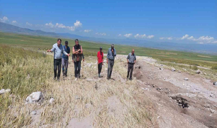 Kars’ta ekili araziler yağmurdan zarar gördü