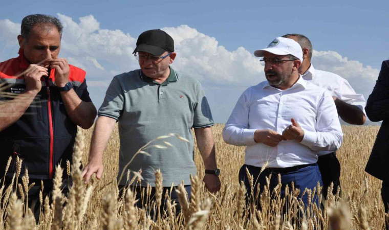 Kars’ta yüzde 50 hibeyle dağıtılan tohumlar tarlalara ekildi