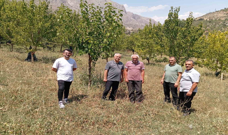 74 yaşındaki Kemaliyeli öğretmen 19 bin ağacı toprakla buluşturdu