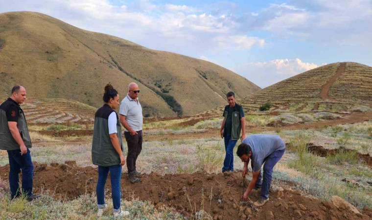 Ayatay, Çayırlı ve Otlukbeli’de yapılan çalışmaları yerinde inceledi