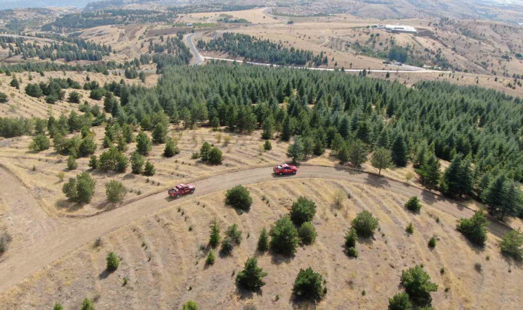 Elazığ’da orman ekipleri, havadan ve karadan denetimlerini sürdürüyor