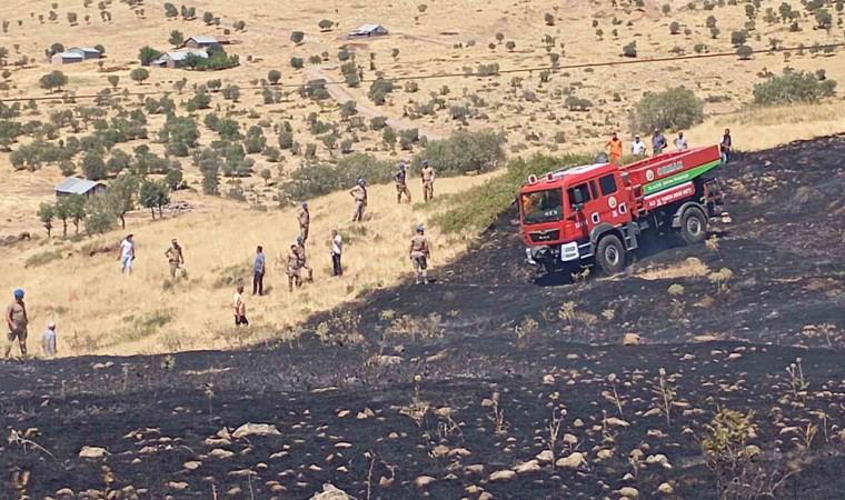 Elazığ’da otluk alanda çıkan yangın kontrol altına alındı