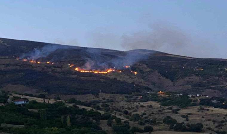 İtfaiye erleri yangından kurtardığı kaplumbağaya su verdi