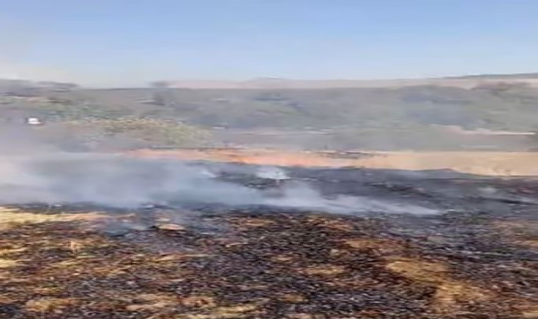 Elazığ’da otluk alanda yangın