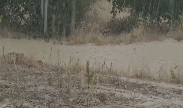 Elazığ’da sağanak yağış sele neden oldu