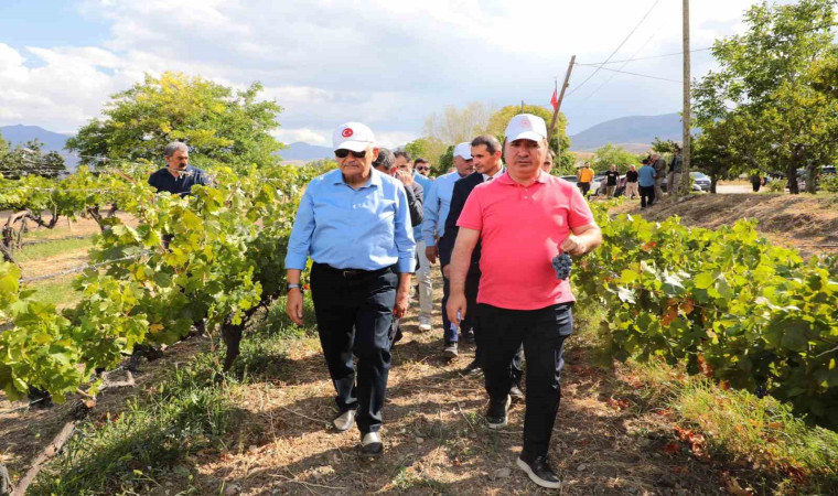 Yıldırım yeni üzüm çeşitleri hakkında bilgi aldı