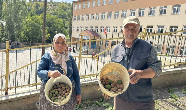 Okul yolunda ceviz ikramı