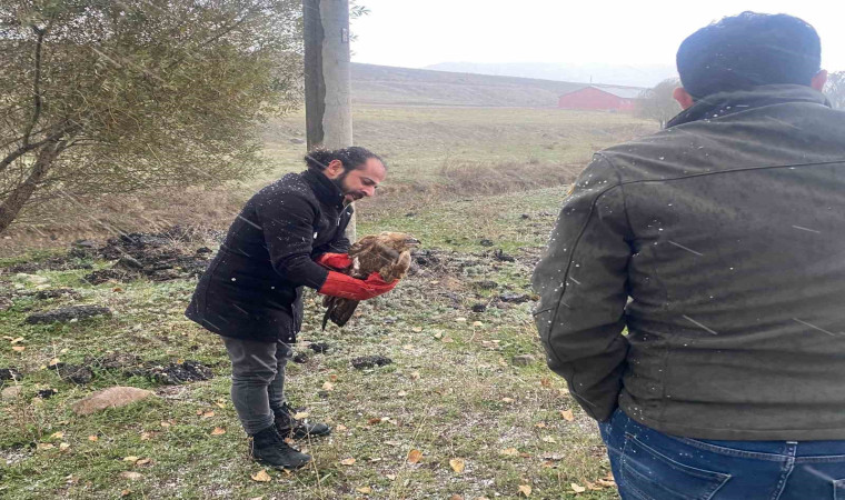 Polisten atmacaya uzanan şefkat eli