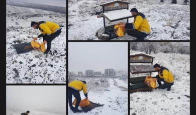 Nevşehir Belediyesi’nden can dostlara yakın ilgi