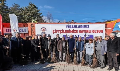 Cevizin merkezi Denizli olacak