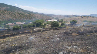 Elazığ’da ot yangını