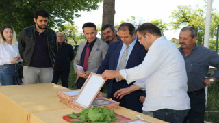 Elazığ’da üreticilere ipek böceği larvası dağıtıldı