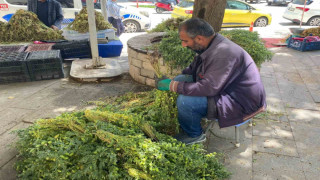 Elazığ’da yeşil nohut tezgahlardaki yerini aldı