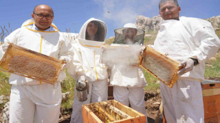 Erzincan’da 100 bin üzeri kolonide 1 milyon kilogram bal üretiliyor