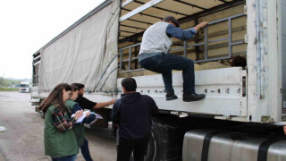 Erzincan’da kurbanlık sevkine sıkı denetim