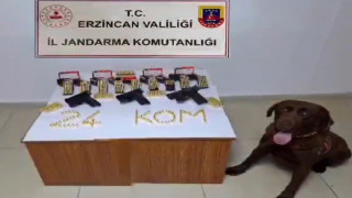 Erzincan’da silah kaçakçısı 1 kişi yakalandı