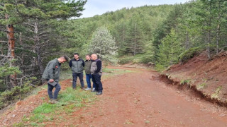 Erzurum Orman Bölge Müdürü Ayatay, Refahiye ormanlarında incelemelerde bulundu