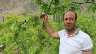 Erzurumun dağlarında kar, bağlarında kiraz var