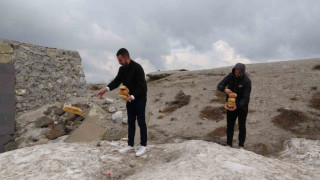 Karla kaplı Nemrut’taki yabani hayvanlar unutulmadı