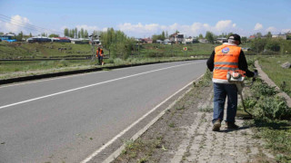 Kars’ta kaldırımlar yabani otlardan temizleniyor