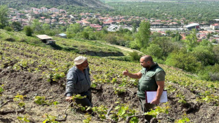 Sahayı adım adım dolaşıyorlar