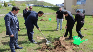 Tatvan Devlet Hastanesi bahçesinde fidan dikme etkinliği