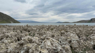 Van Gölü kıyılarındaki mikrobiyalitler vatandaşları şaşırttı