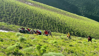 Van’da ot toplarken kayalıklardan düşen şahıs kurtarıldı