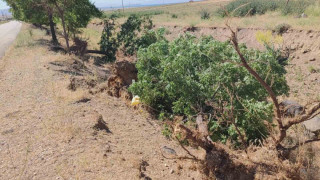 Adilcevaz’da toz fırtınası hayatı felç etti