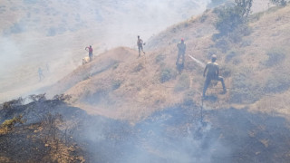 Bingöl’de çıkan orman yangını söndürüldü