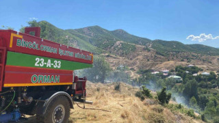 Bingöl’de kırsal alanda çıkan yangın ormana sıçramadan söndürüldü