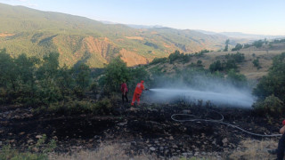 Bingöl’deki orman yangını büyümeden söndürüldü