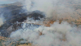 Elazığ’da orman yangınına havadan müdahale sürüyor