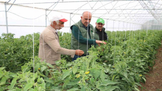 Erzincan son yıllarda yapılan yatırımların meyvelerini toplamaya başladı