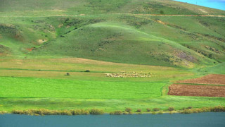 “Erzurum’da süt ürünleri üretimi gelişime açık”